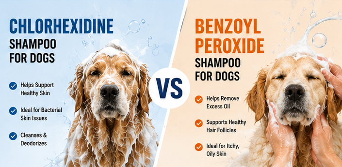 Chlorhexidine vs Benzoyl Peroxide Shampoo for Dogs: Which One Is Right?