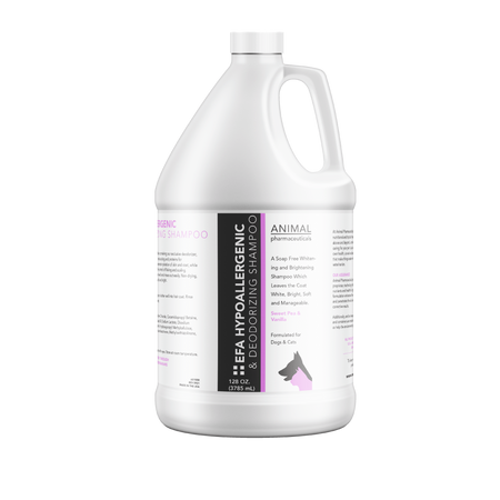 Gallon bottle of hypoallergenic shampoo