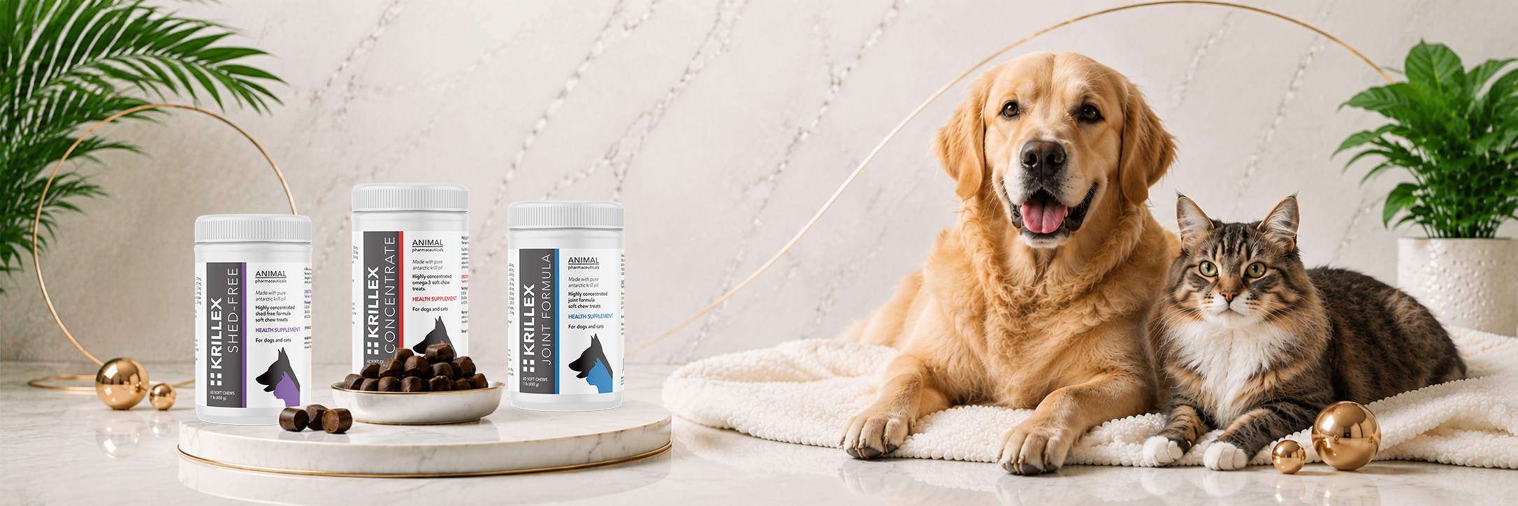 Dog and cat sitting on a blanket with pet supplement products