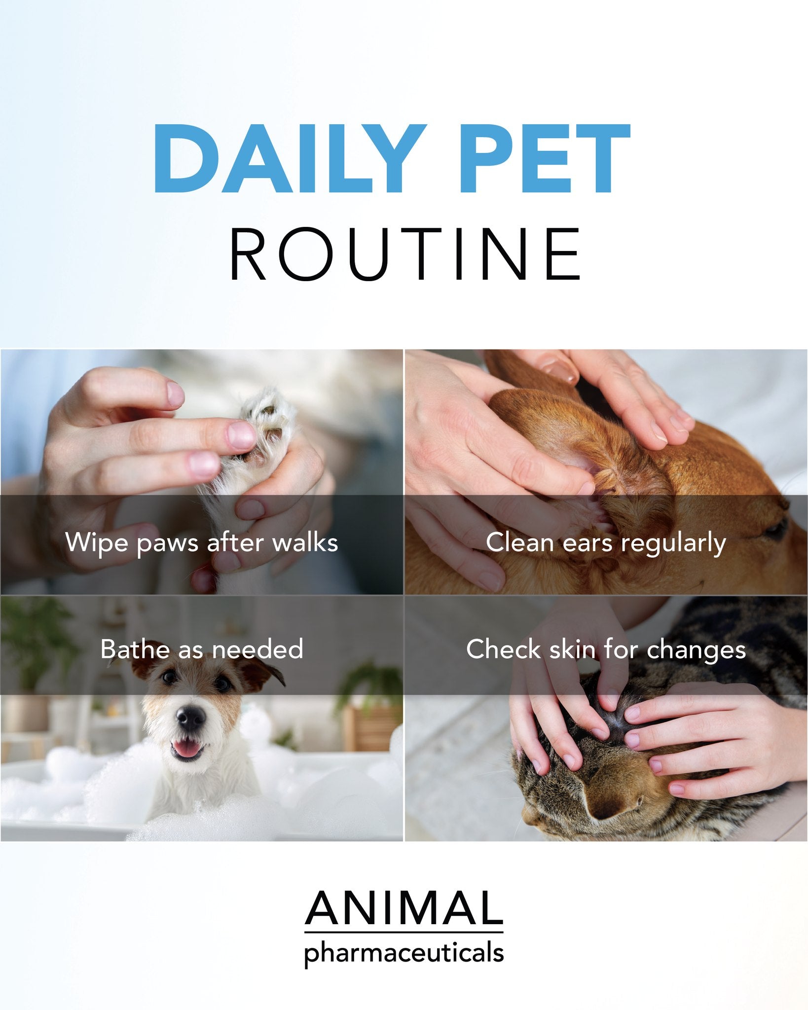 Pet dail routine post