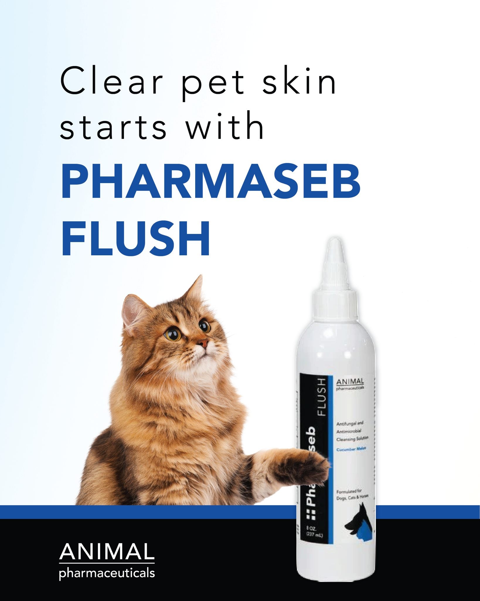 Pharmaseb Fush