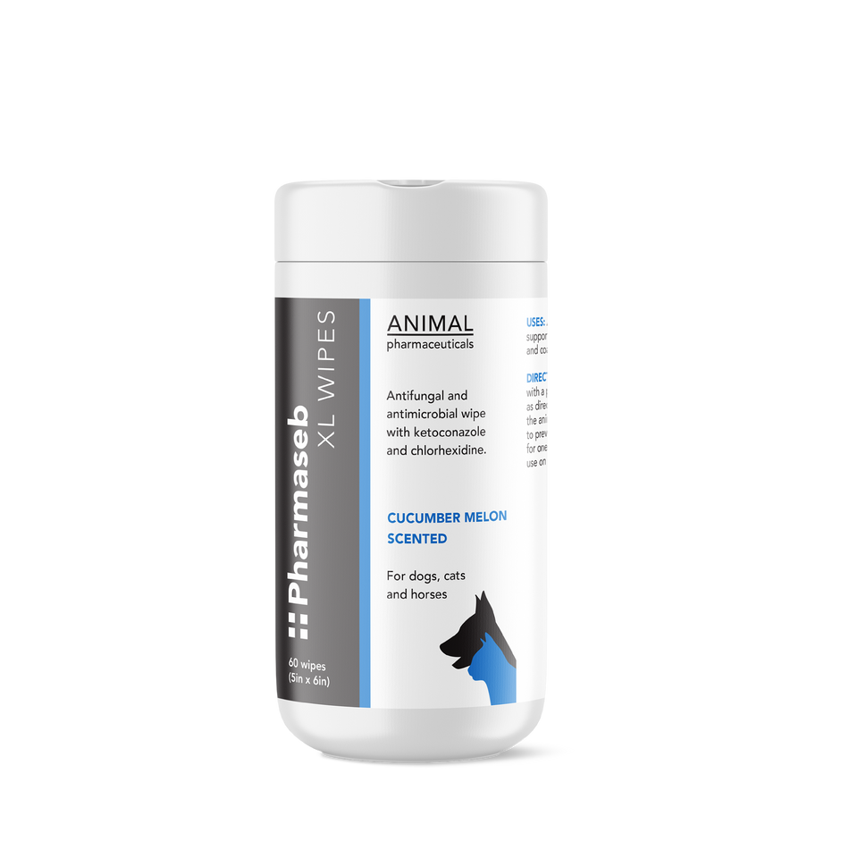 Container of Pharmaseb XL Wipes 